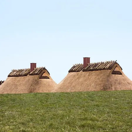 Luxus - Ostseeferienhaus Schilfgras