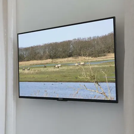 Luxus - Ostseeferienhaus Schilfgras * Pommerby (Gelting)