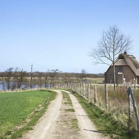 Tatil Evi Luxus - Ostseeferienhaus Schilfgras